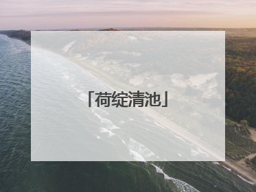荷绽清池