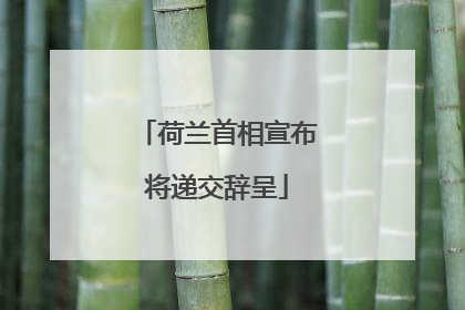 荷兰首相宣布将递交辞呈