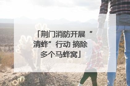 荆门消防开展“清蜂”行动 摘除多个马蜂窝