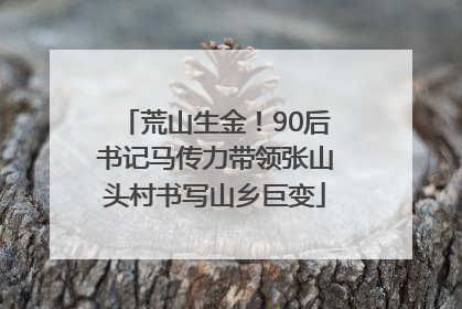 荒山生金！90后书记马传力带领张山头村书写山乡巨变