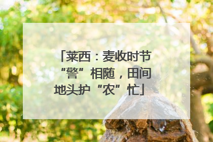 莱西：麦收时节“警”相随，田间地头护“农”忙