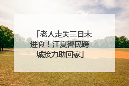 老人走失三日未进食！江夏警民跨城接力助回家