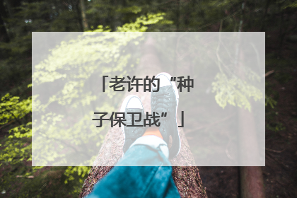 老许的“种子保卫战”