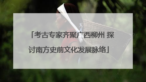 考古专家齐聚广西柳州 探讨南方史前文化发展脉络