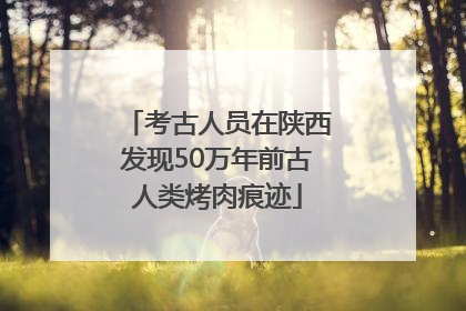 考古人员在陕西发现50万年前古人类烤肉痕迹