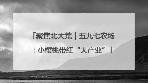 聚焦北大荒｜五九七农场：小樱桃带红“大产业”