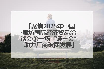 聚焦2025年中国·廊坊国际经济贸易洽谈会③一场“链主会” 助力厂商破圈发展