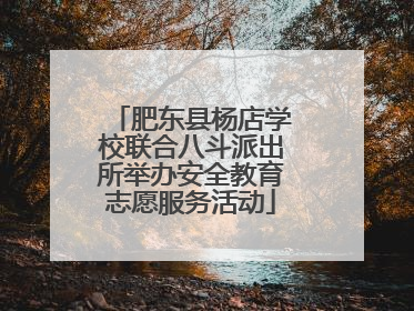 肥东县杨店学校联合八斗派出所举办安全教育志愿服务活动