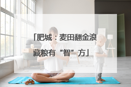 肥城：麦田翻金浪藏粮有“智”方