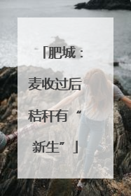 肥城：麦收过后秸秆有“新生”