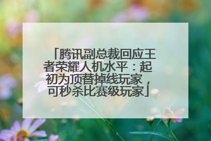 腾讯副总裁回应王者荣耀人机水平：起初为顶替掉线玩家，可秒杀比赛级玩家