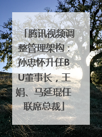 腾讯视频调整管理架构：孙忠怀升任BU董事长，王娟、马延琨任联席总裁