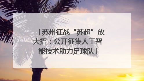 苏州征战“苏超”放大招：公开征集人工智能技术助力足球队
