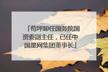 苟坪卸任国务院国资委副主任，已任中国星网集团董事长