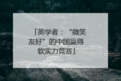 英学者：“微笑友好”的中国赢得软实力竞赛