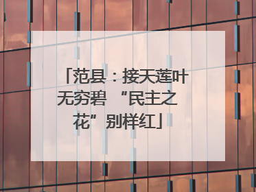 范县：接天莲叶无穷碧 “民主之花”别样红
