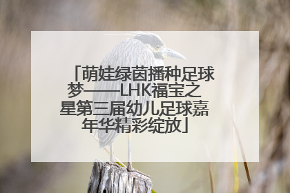 萌娃绿茵播种足球梦——LHK福宝之星第三届幼儿足球嘉年华精彩绽放