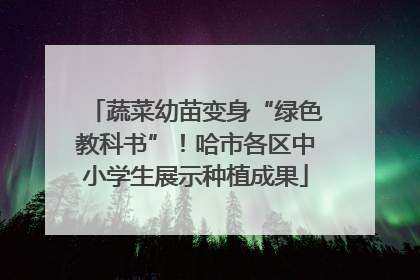 蔬菜幼苗变身“绿色教科书”！哈市各区中小学生展示种植成果