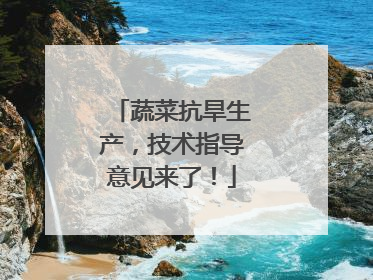 蔬菜抗旱生产，技术指导意见来了！