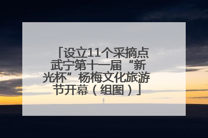 设立11个采摘点 武宁第十一届“新光杯”杨梅文化旅游节开幕（组图）