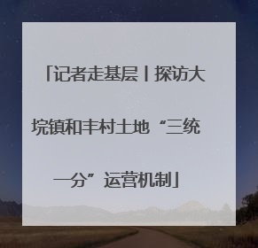 记者走基层丨探访大垸镇和丰村土地“三统一分”运营机制