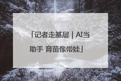 记者走基层｜AI当助手 育苗像带娃