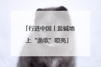 行进中国丨盐碱地上“渔歌”嘹亮