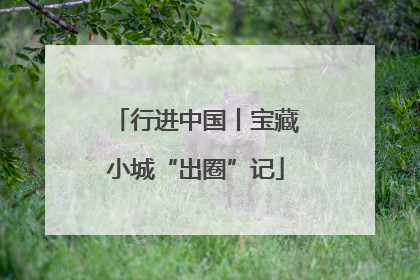 行进中国丨宝藏小城“出圈”记