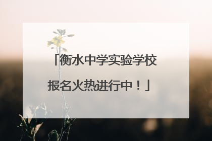 衡水中学实验学校报名火热进行中！
