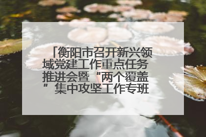 衡阳市召开新兴领域党建工作重点任务推进会暨“两个覆盖”集中攻坚工作专班 第一次会议