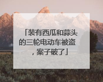 装有西瓜和蒜头的三轮电动车被盗，案子破了