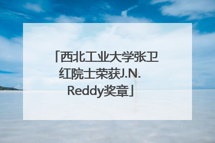 西北工业大学张卫红院士荣获J.N.Reddy奖章