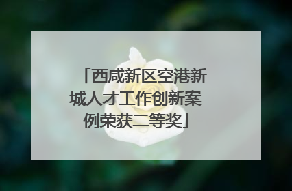 西咸新区空港新城人才工作创新案例荣获二等奖