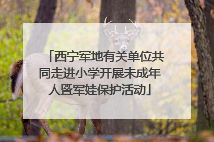 西宁军地有关单位共同走进小学开展未成年人暨军娃保护活动
