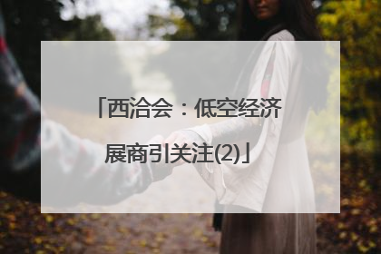 西洽会：低空经济展商引关注(2)