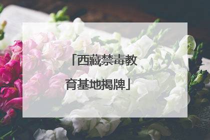 西藏禁毒教育基地揭牌