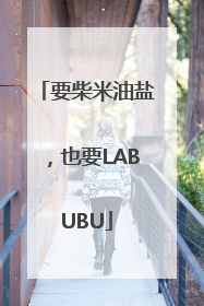 要柴米油盐，也要LABUBU