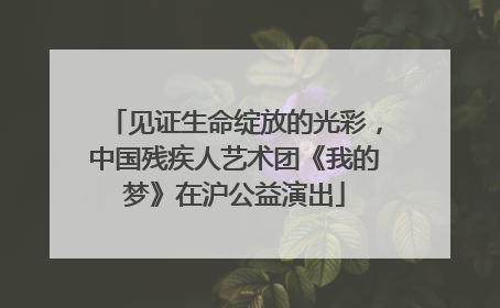 见证生命绽放的光彩，中国残疾人艺术团《我的梦》在沪公益演出