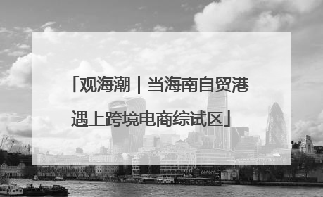 观海潮｜当海南自贸港遇上跨境电商综试区