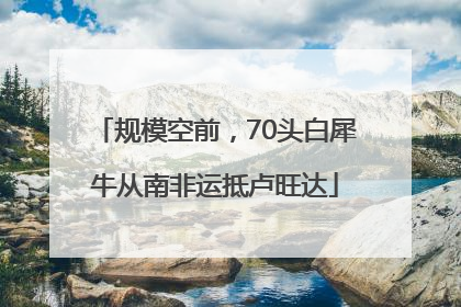 规模空前，70头白犀牛从南非运抵卢旺达