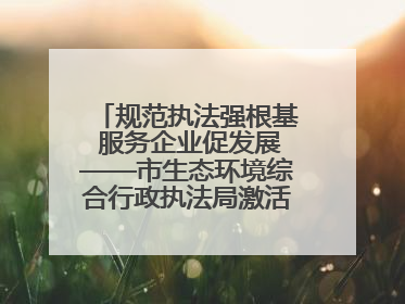规范执法强根基 服务企业促发展——市生态环境综合行政执法局激活营商环境“绿色动能”