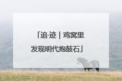 追·迹｜鸡窝里发现明代抱鼓石