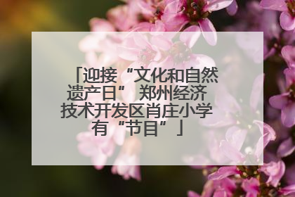 迎接“文化和自然遗产日” 郑州经济技术开发区肖庄小学有“节目”