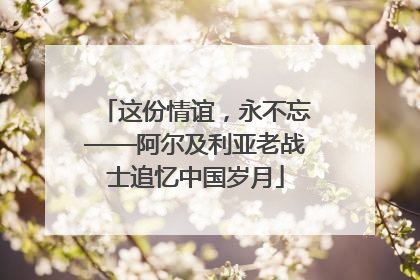 这份情谊，永不忘——阿尔及利亚老战士追忆中国岁月