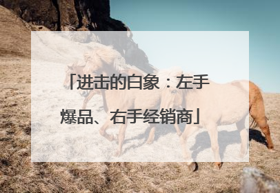 进击的白象：左手爆品、右手经销商