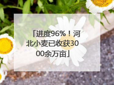进度96%！河北小麦已收获3000余万亩