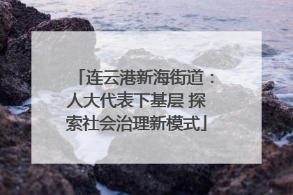 连云港新海街道：人大代表下基层 探索社会治理新模式