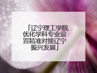 辽宁理工学院优化学科专业设置精准对接辽宁振兴发展