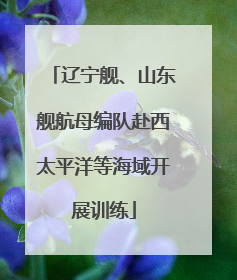 辽宁舰、山东舰航母编队赴西太平洋等海域开展训练