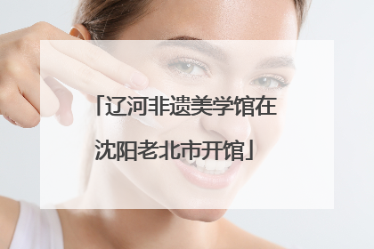 辽河非遗美学馆在沈阳老北市开馆